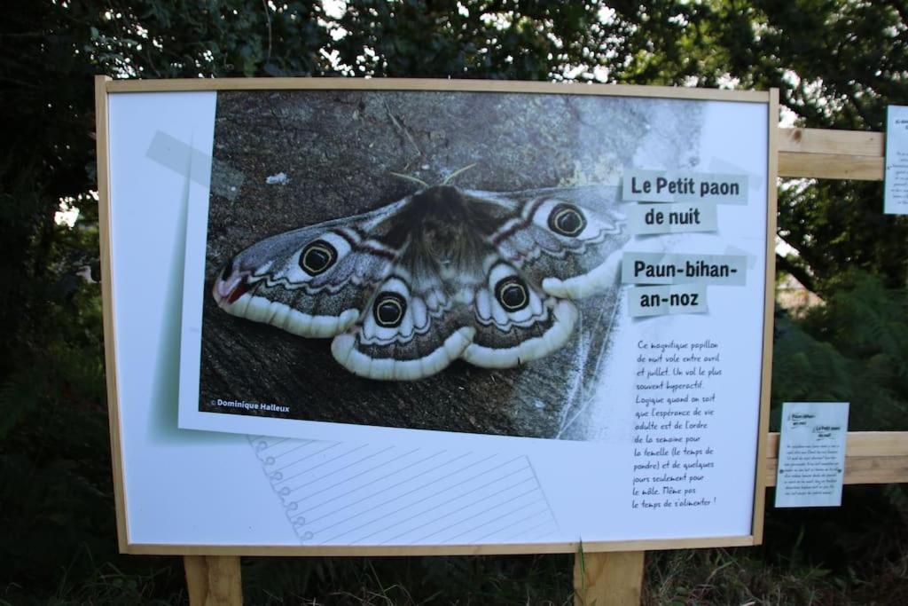 Villa La Petite Bretonne à Plounerin Extérieur photo
