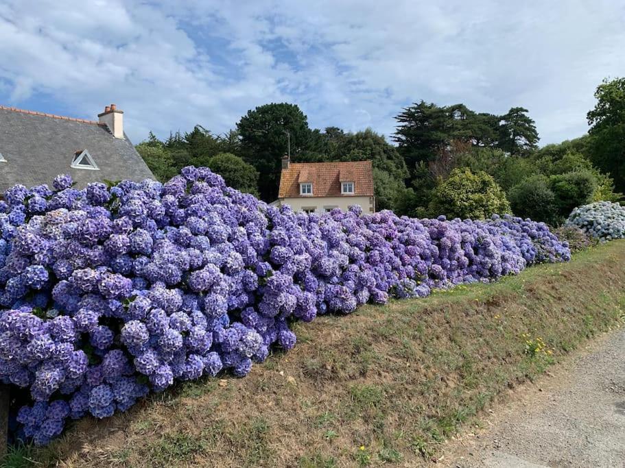 Villa La Petite Bretonne à Plounerin Extérieur photo